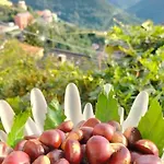 Casa Franca - In The Countryside With Garden