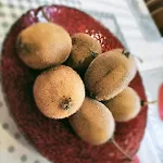 Casa Franca - In The Countryside With Garden Uscio