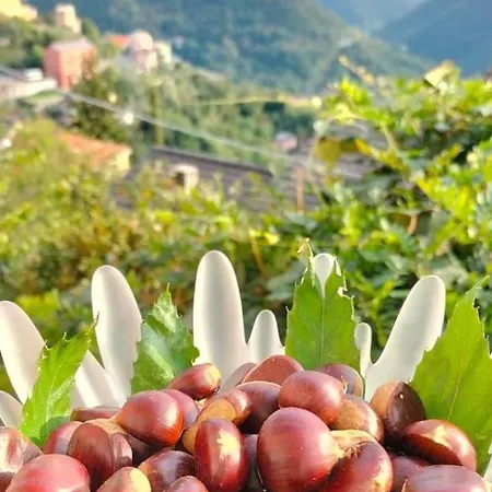 Casa Franca - In The Countryside With Garden