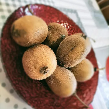 Casa Franca - In The Countryside With Garden Uscio