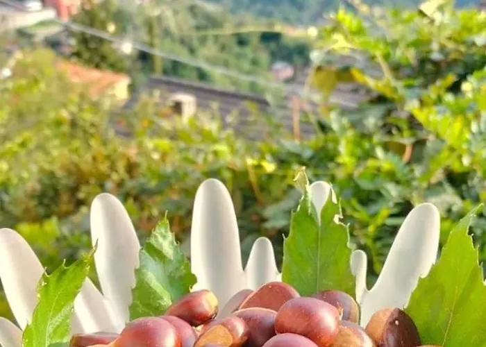 Casa Franca - In The Countryside With Garden